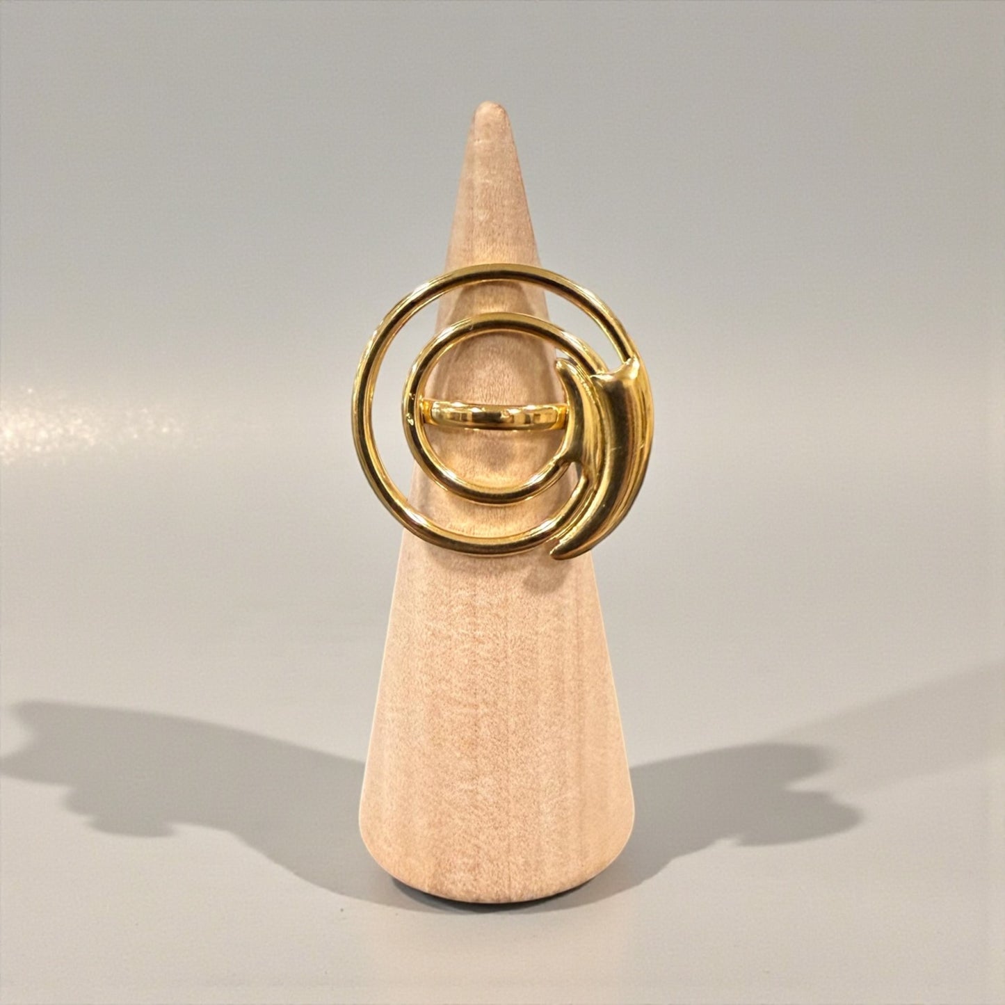 ANILLO ESPIRAL