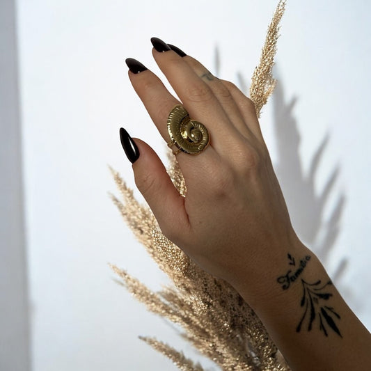 ANILLO CARACOLA